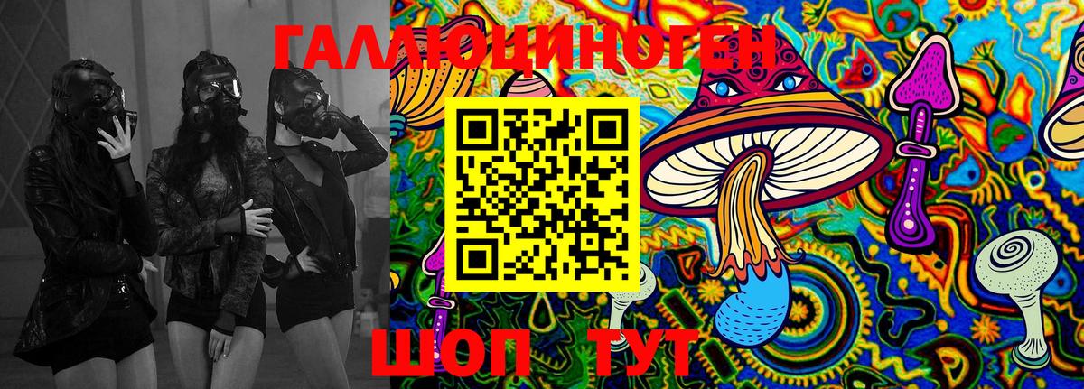 Галлюциногенные грибы Cubensis Славянск-на-Кубани