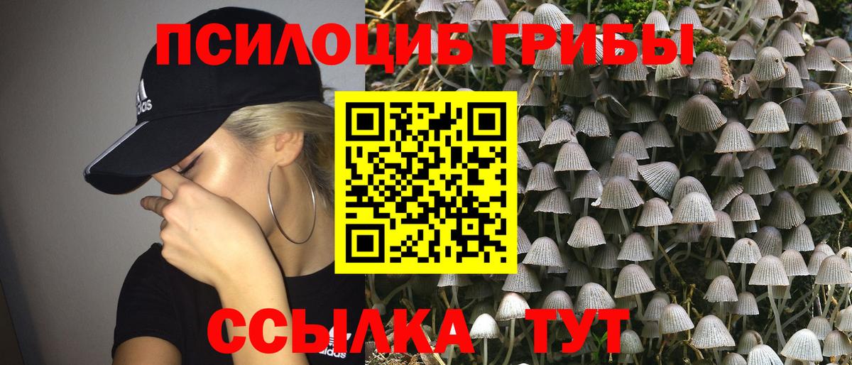 Галлюциногенные грибы мицелий  Вход с VPN  Славянск-на-Кубани 